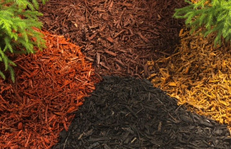 Got Mulch? - Blogs - Rock Shoppe - Mulch